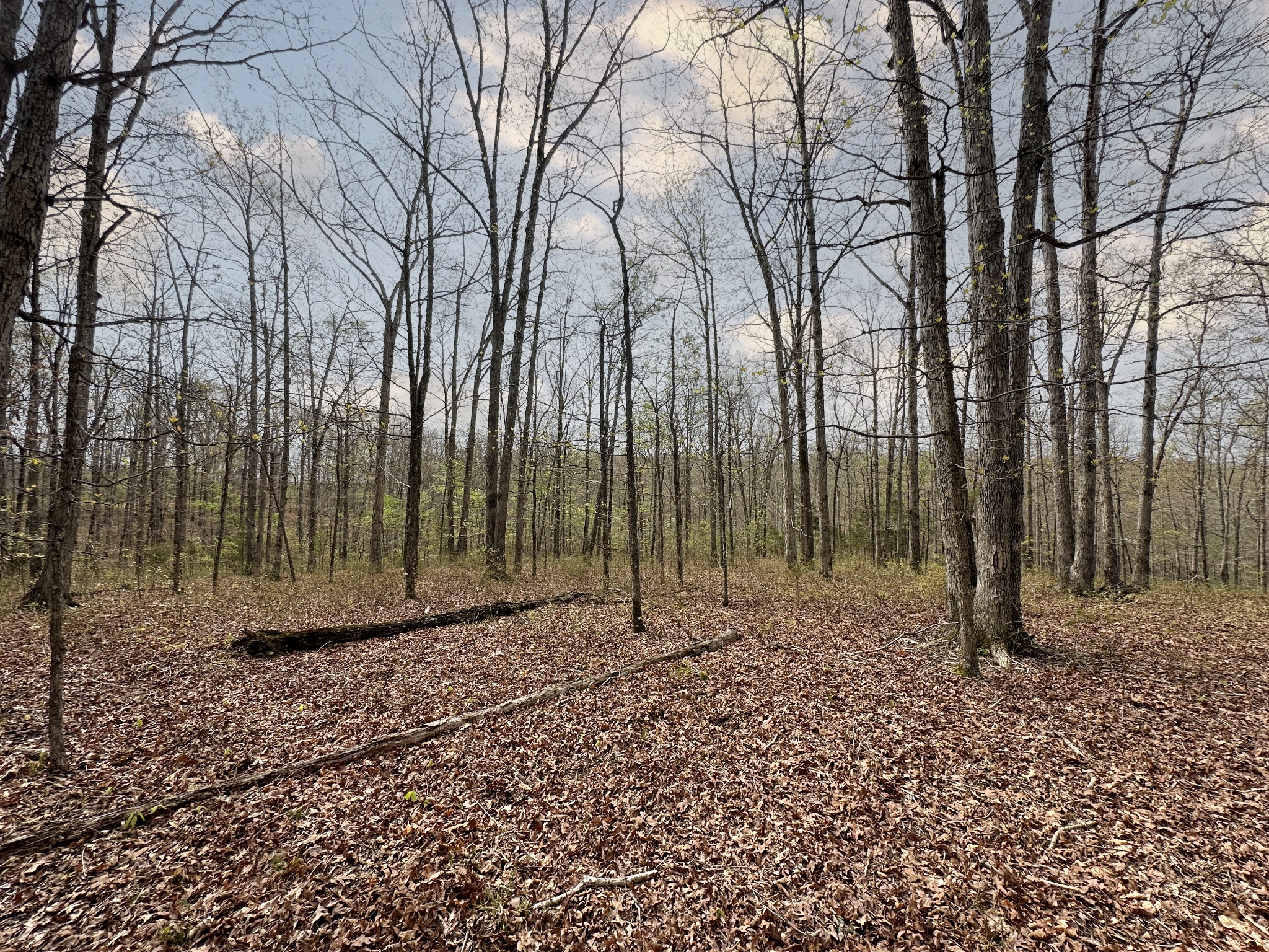 0 Ridgewood Drive McEwen, TN 37101 - Photo 36 of 40 a view of a backyard