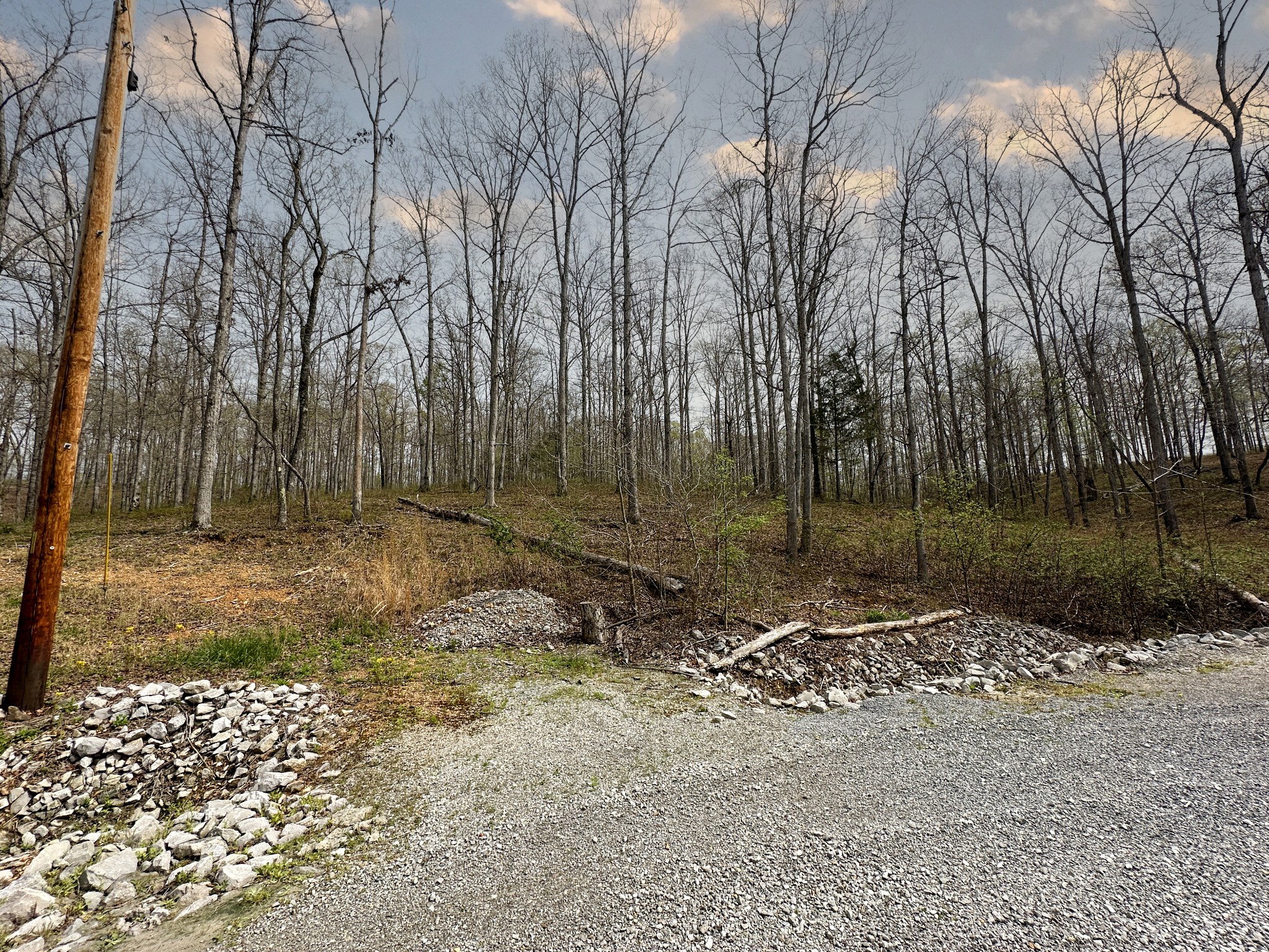 0 Ridgewood Drive McEwen, TN 37101 - Photo 6 of 40 a backyard of a house with lots of green space