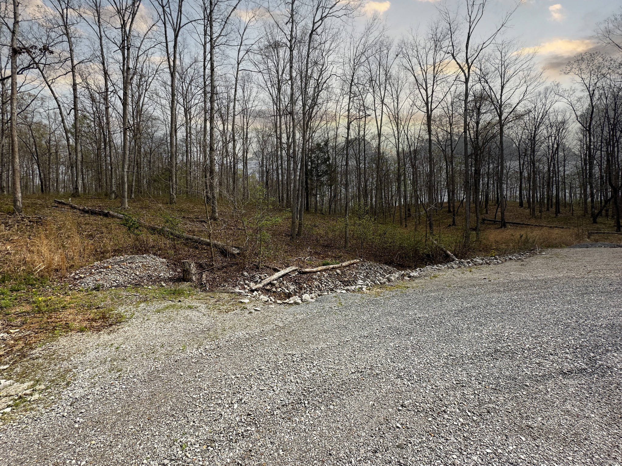 0 Ridgewood Drive McEwen, TN 37101 - Photo 7 of 40 a backyard of a house with lots of green space