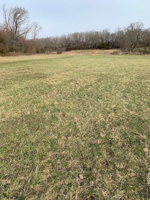 0 Green Acres Road Sparta, MO 65753 - Photo 1 of 1 IMG_5384