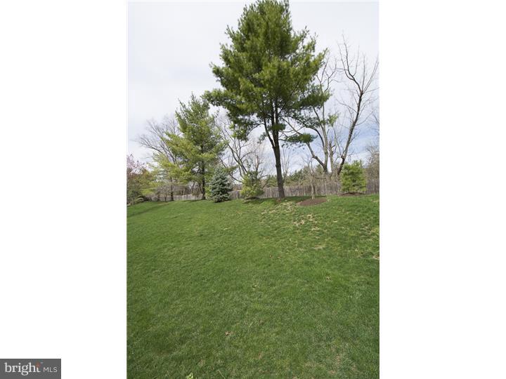29 Main Street Wayne, PA 19087 - Photo 25 of 25