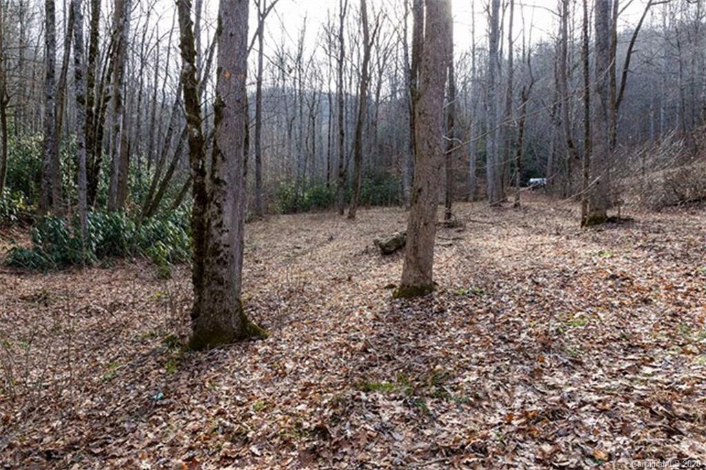 1963 Shook Cove Road, Unit 6 Tuckasegee, NC 28783 - Photo 14 of 25 Gallery Image 14