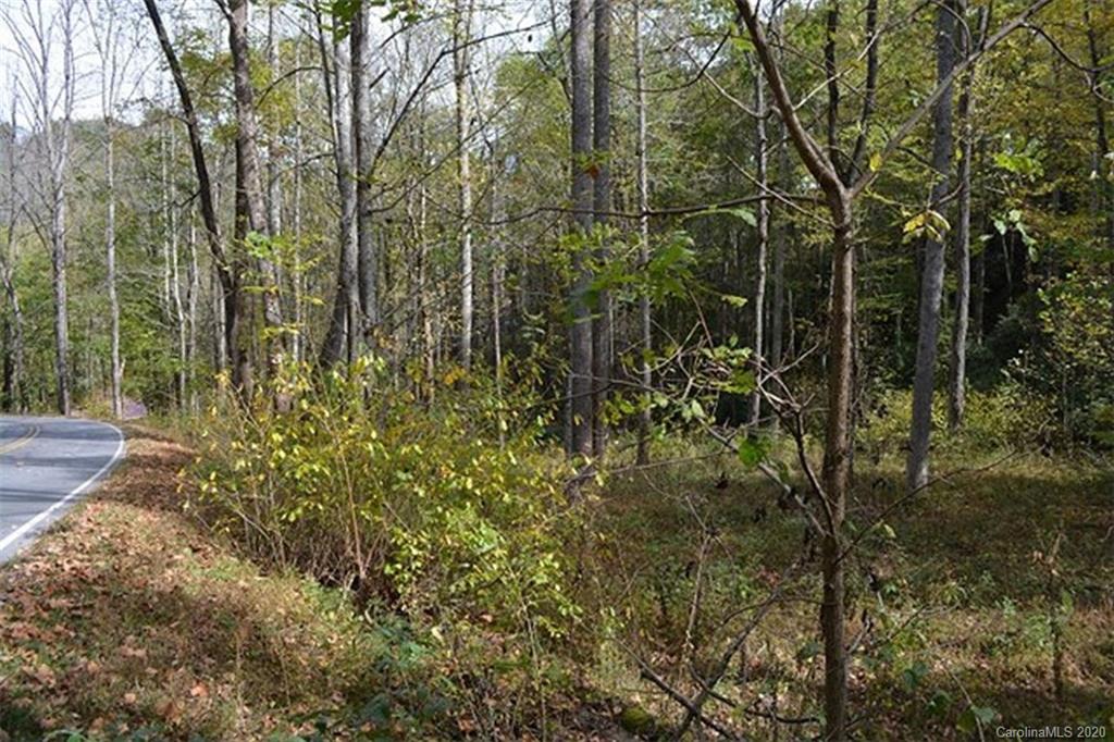 1963 Shook Cove Road, Unit 6 Tuckasegee, NC 28783 - Photo 4 of 25 Gallery Image 4