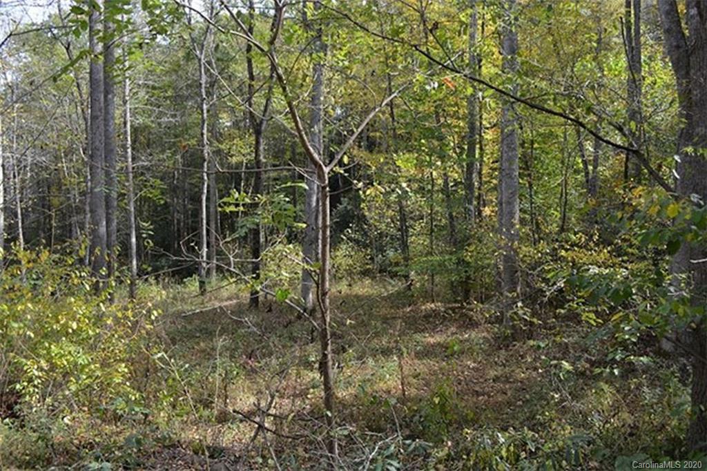 1963 Shook Cove Road, Unit 6 Tuckasegee, NC 28783 - Photo 7 of 25 Gallery Image 7