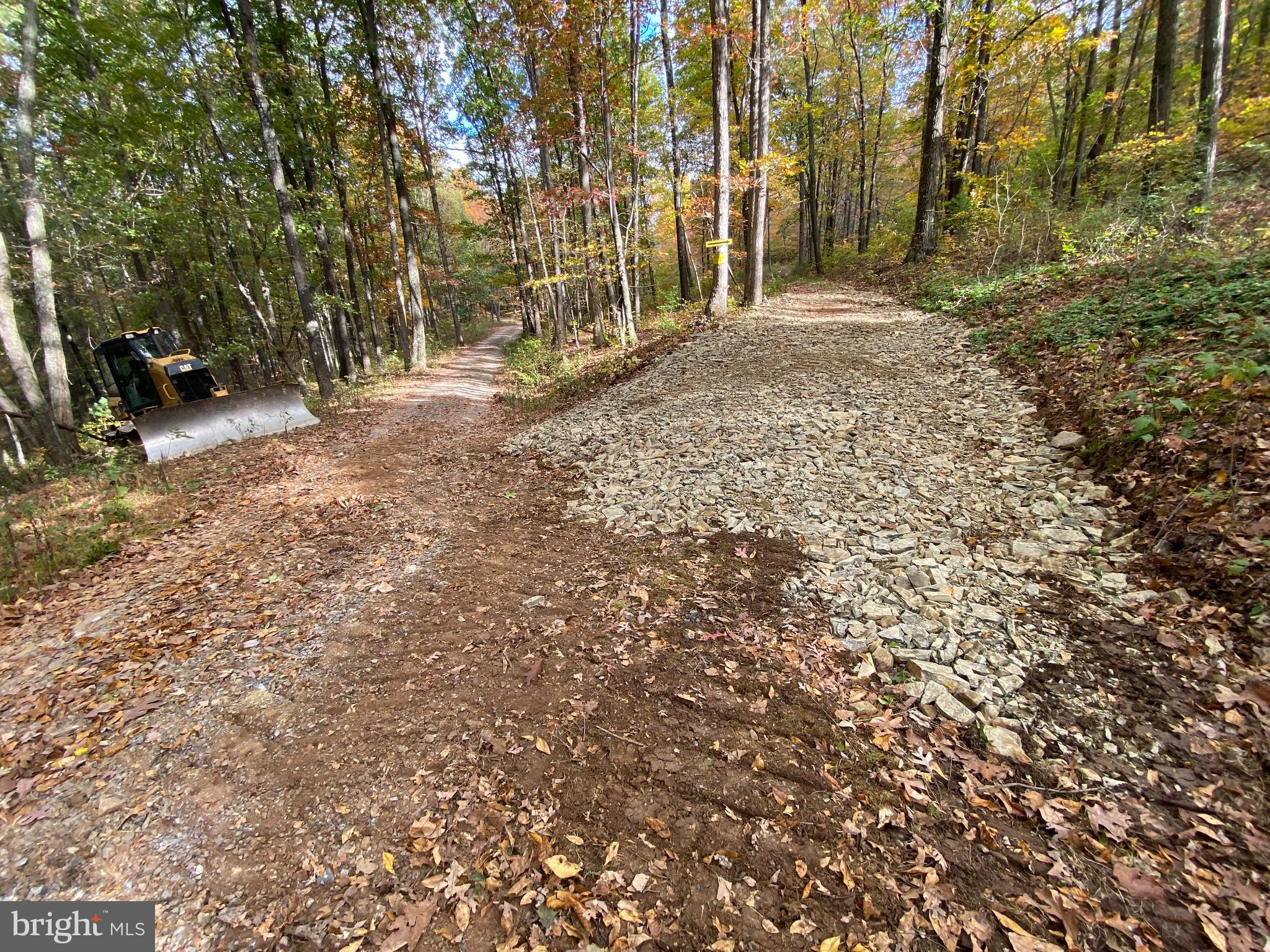1790 Monroe Mountain Road Clearville, PA 15535 - Photo 6 of 7 a view of a yard with plants and trees