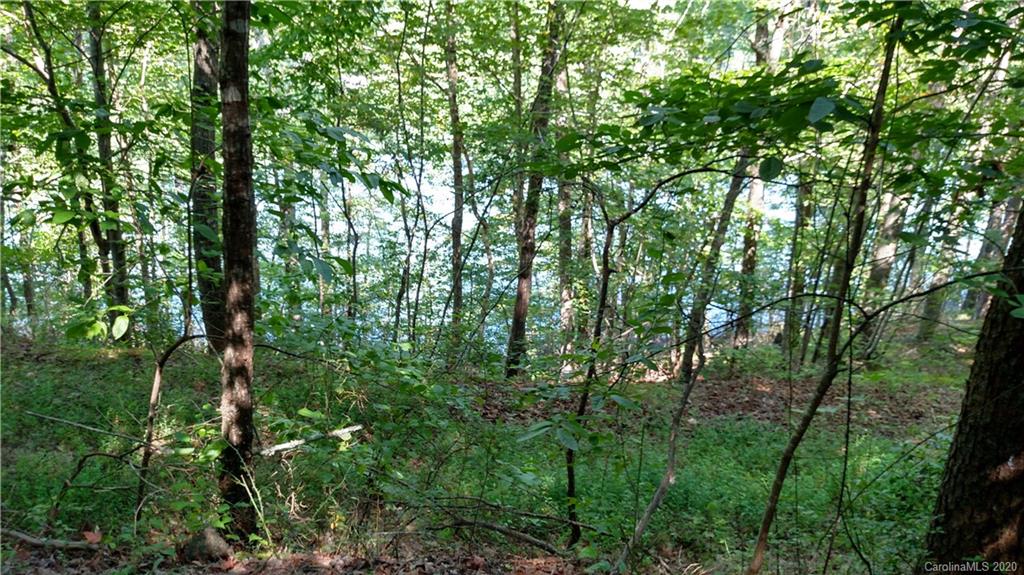 6 Hawk Ridge Drive, Unit 6 Mill Spring, NC 28756 - Photo 1 of 6
