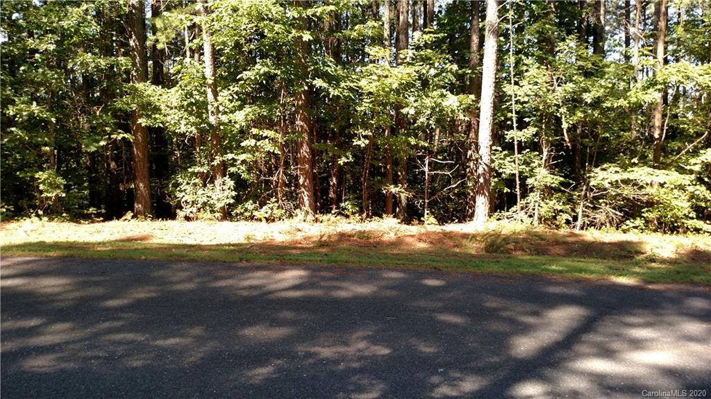 6 Hawk Ridge Drive, Unit 6 Mill Spring, NC 28756 - Photo 2 of 6