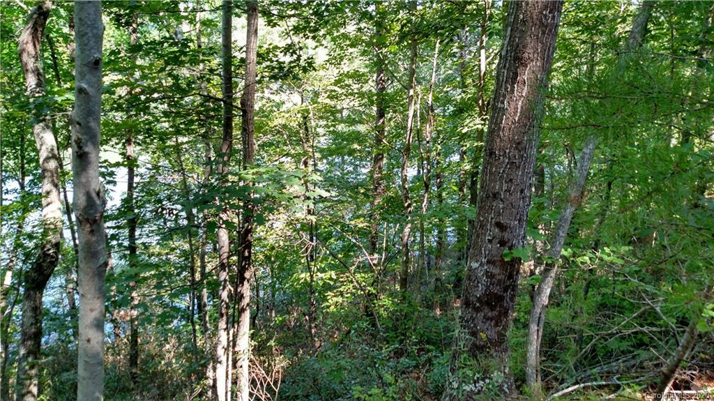 6 Hawk Ridge Drive, Unit 6 Mill Spring, NC 28756 - Photo 3 of 6