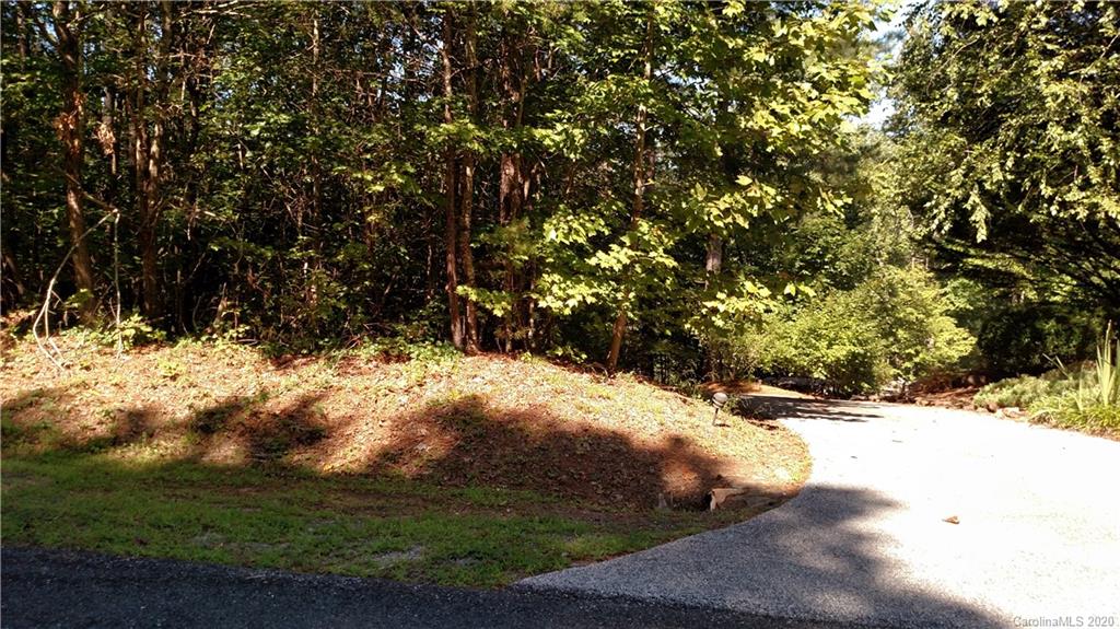 6 Hawk Ridge Drive, Unit 6 Mill Spring, NC 28756 - Photo 4 of 6