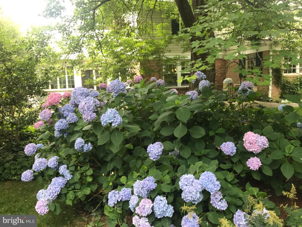 9304 Belmart Road Potomac, MD 20854 - Photo 36 of 41