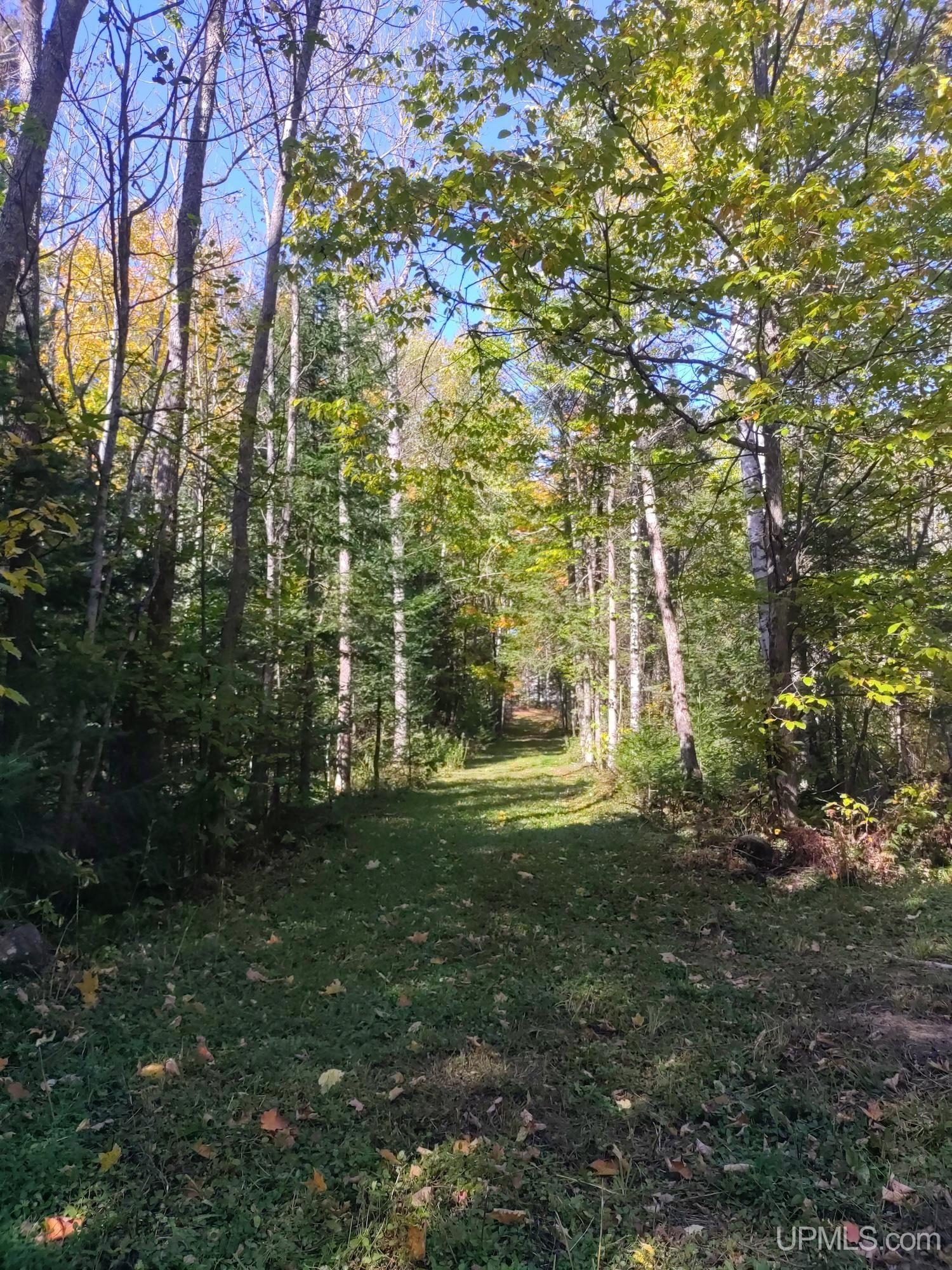 4745 Boot Lake Road Phelps, WI 54554 - Photo 25 of 78 Gallery Image 25
