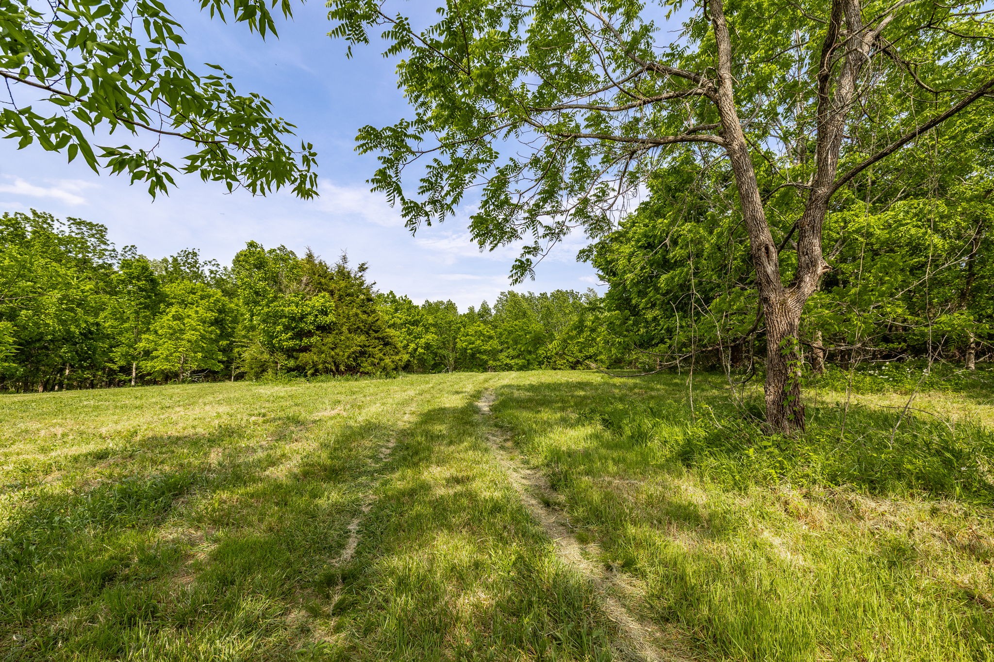 0 Robert Neal Durham Road Bethpage, TN 37022 - Photo 14 of 17 Gallery Image 14