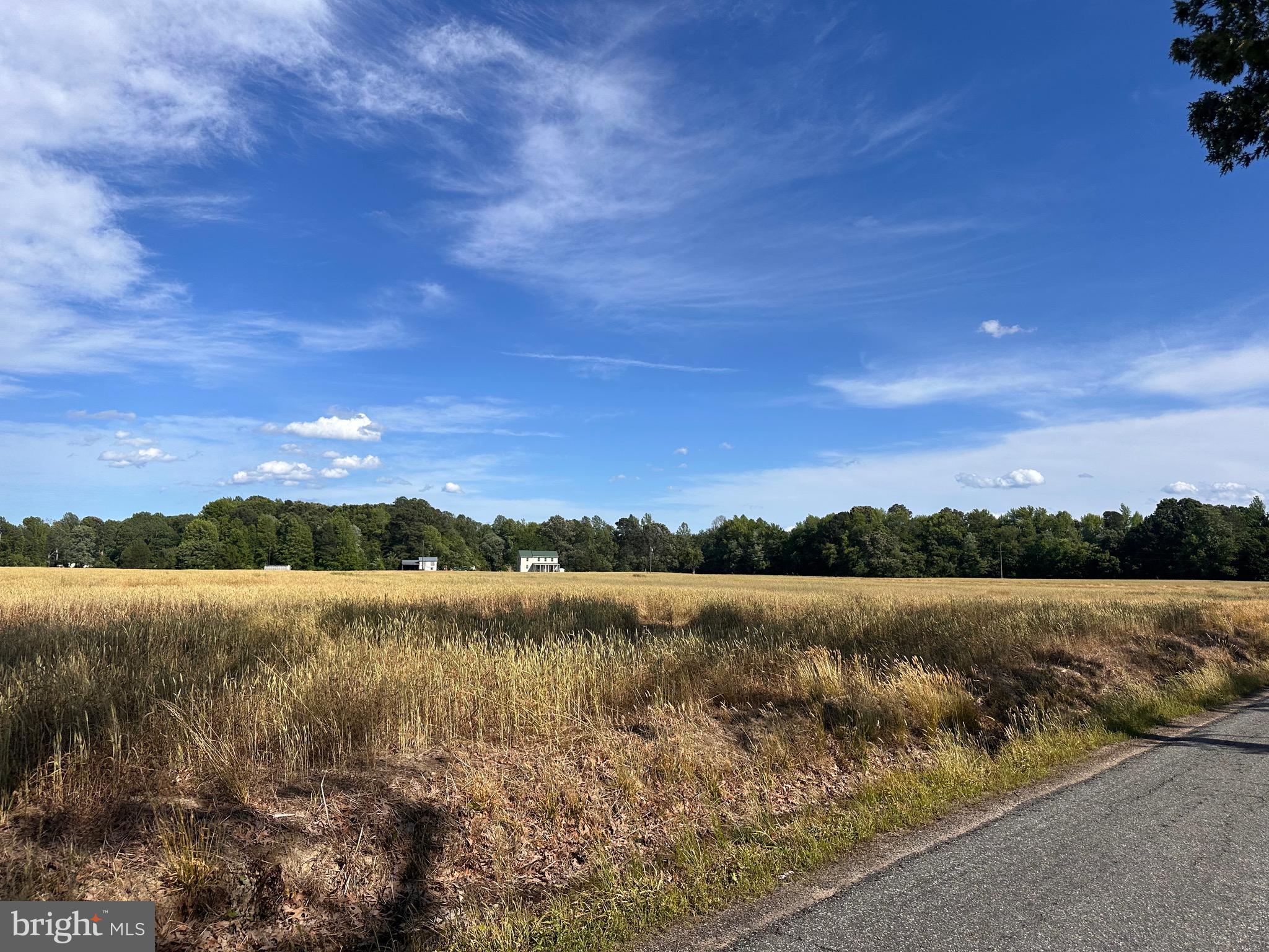 0 Mt Holly Road Montross, VA 22520 - Photo 10 of 15 Across Erica Road property