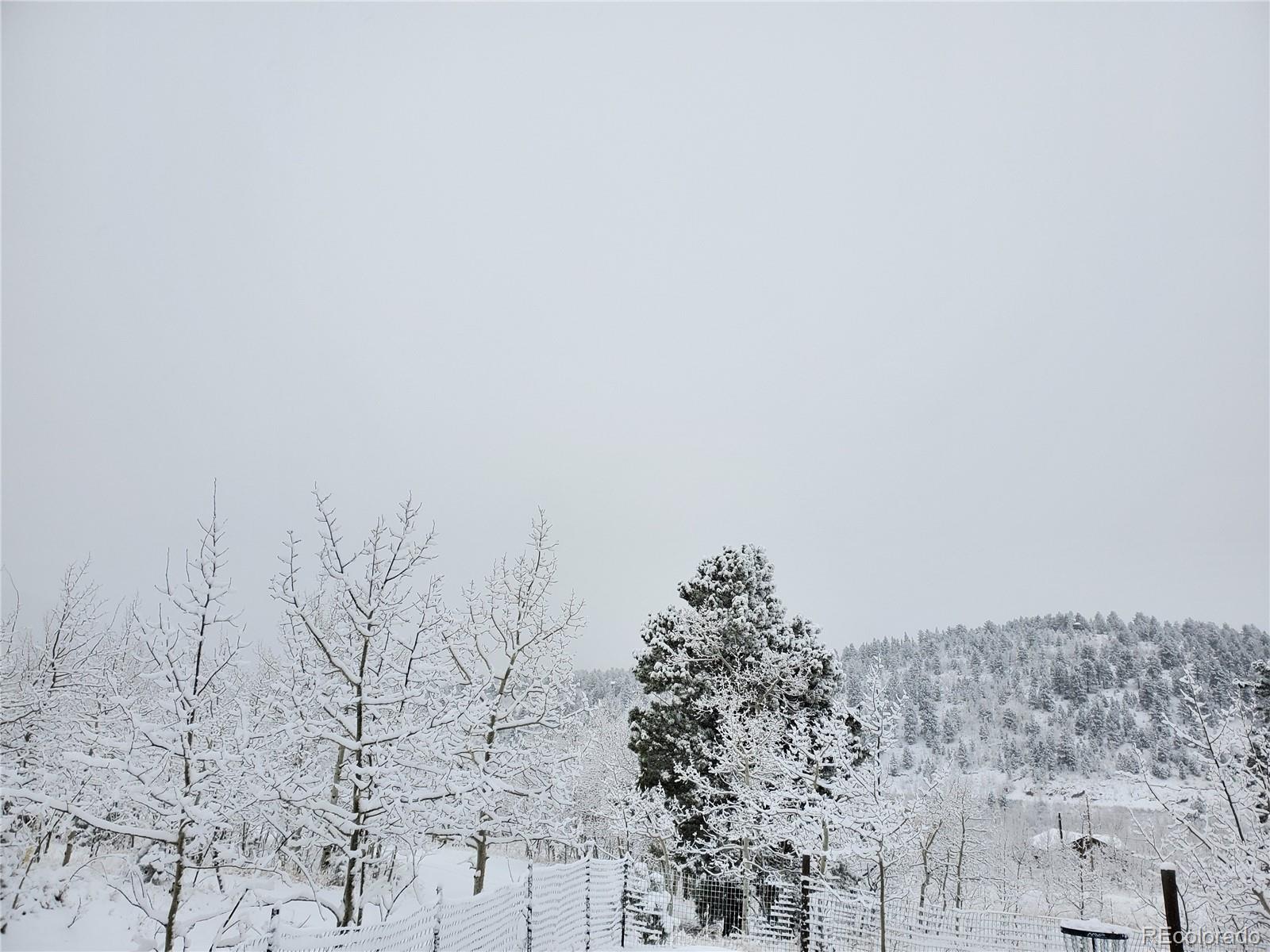 140 Snow Water Road Bailey, CO 80421 - Photo 23 of 26
