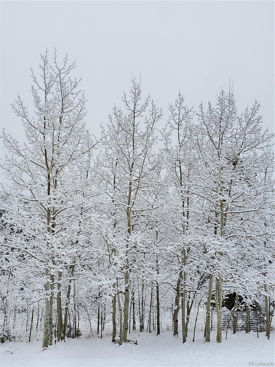 140 Snow Water Road Bailey, CO 80421 - Photo 24 of 26