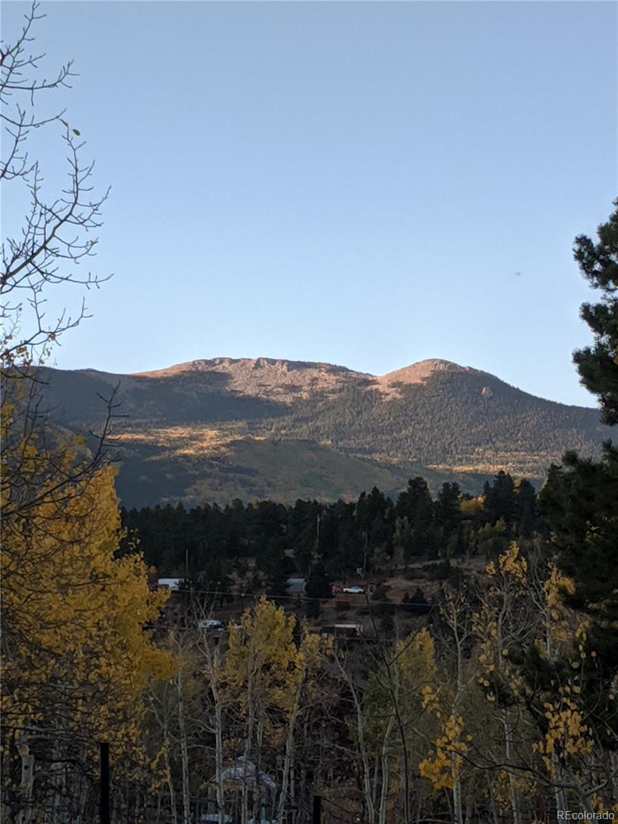 140 Snow Water Road Bailey, CO 80421 - Photo 26 of 26