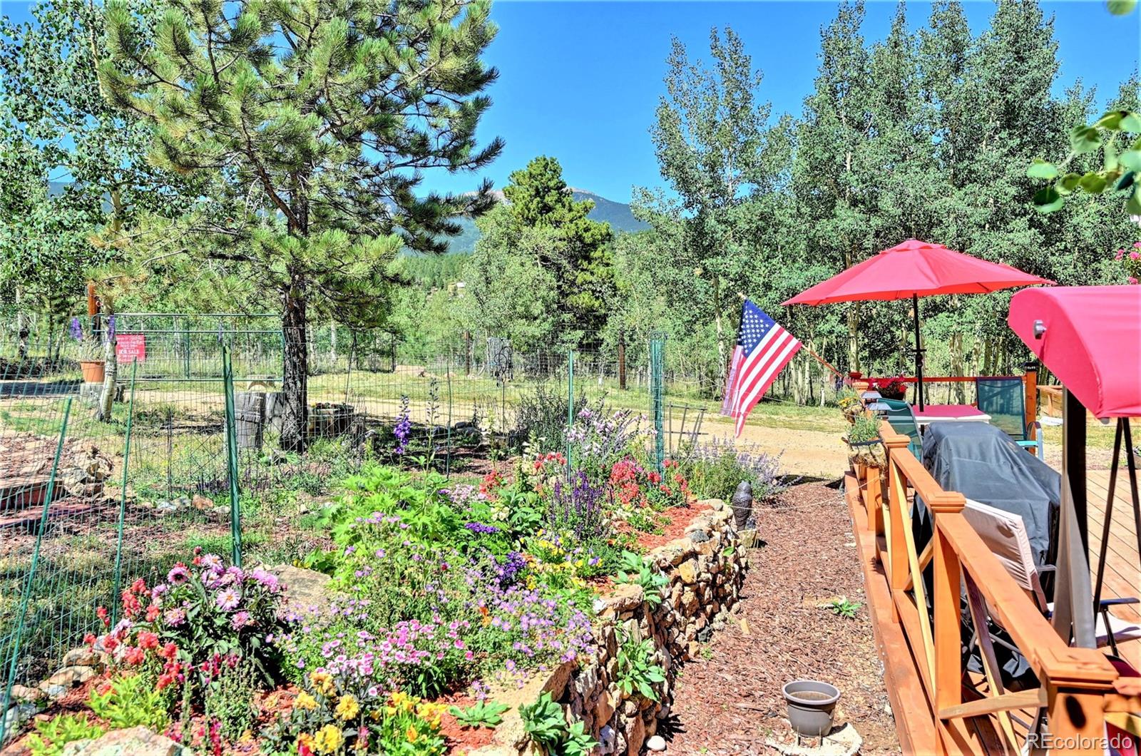 140 Snow Water Road Bailey, CO 80421 - Photo 9 of 26