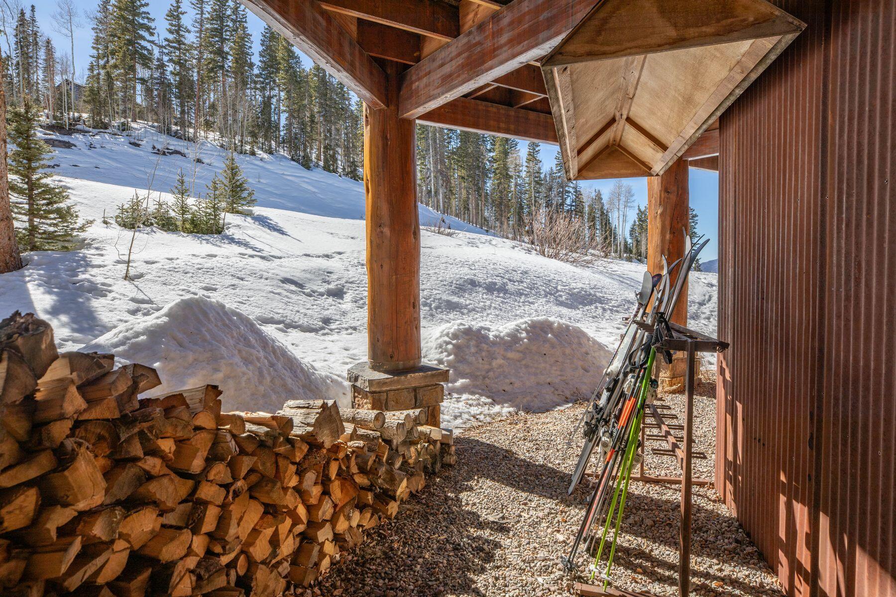 222 High Country Road Mountain Village, CO 81435 - Photo 31 of 37 Ski Storage