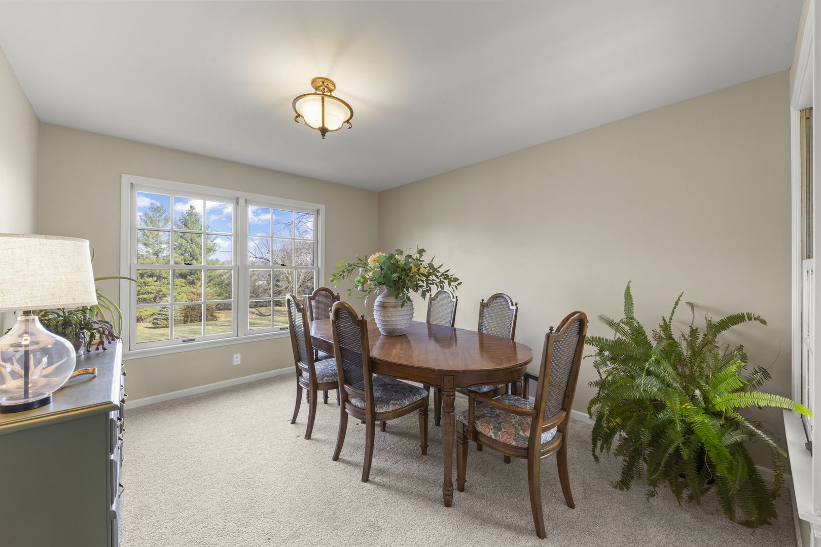 19 Shagbark Lane Newark, IL 60541 - Photo 9 of 60 a dining room with furniture and a potted plant