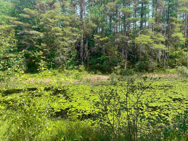 $110,000 | 179 Chickville Road, Ossipee, NH 03864