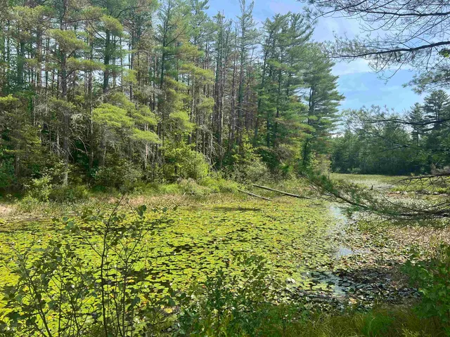 $110,000 | 179 Chickville Road, Ossipee, NH 03864