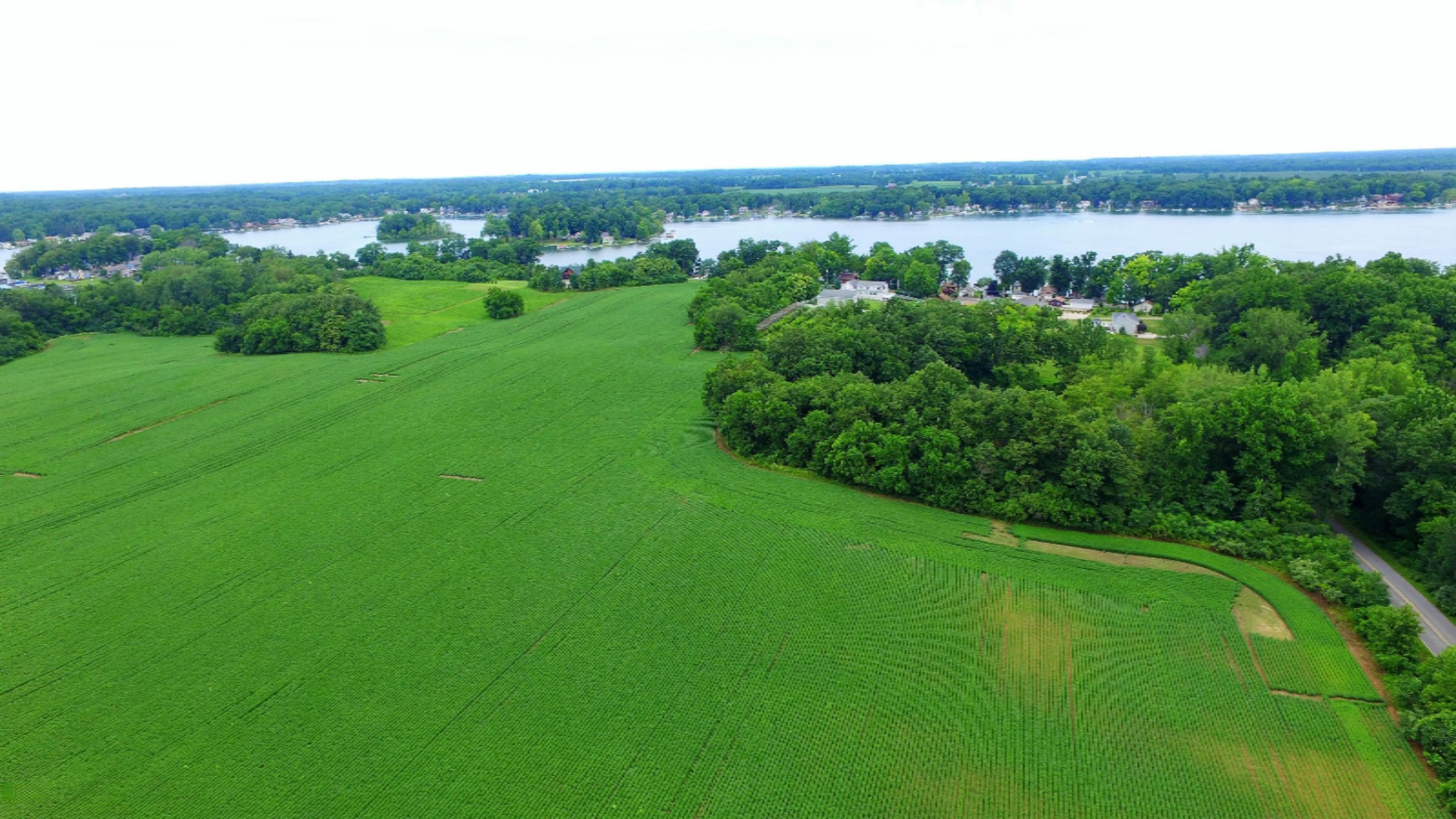 1 Curran Beach Road Dowagiac, MI 49047 - Photo 3 of 7 DJI_0013