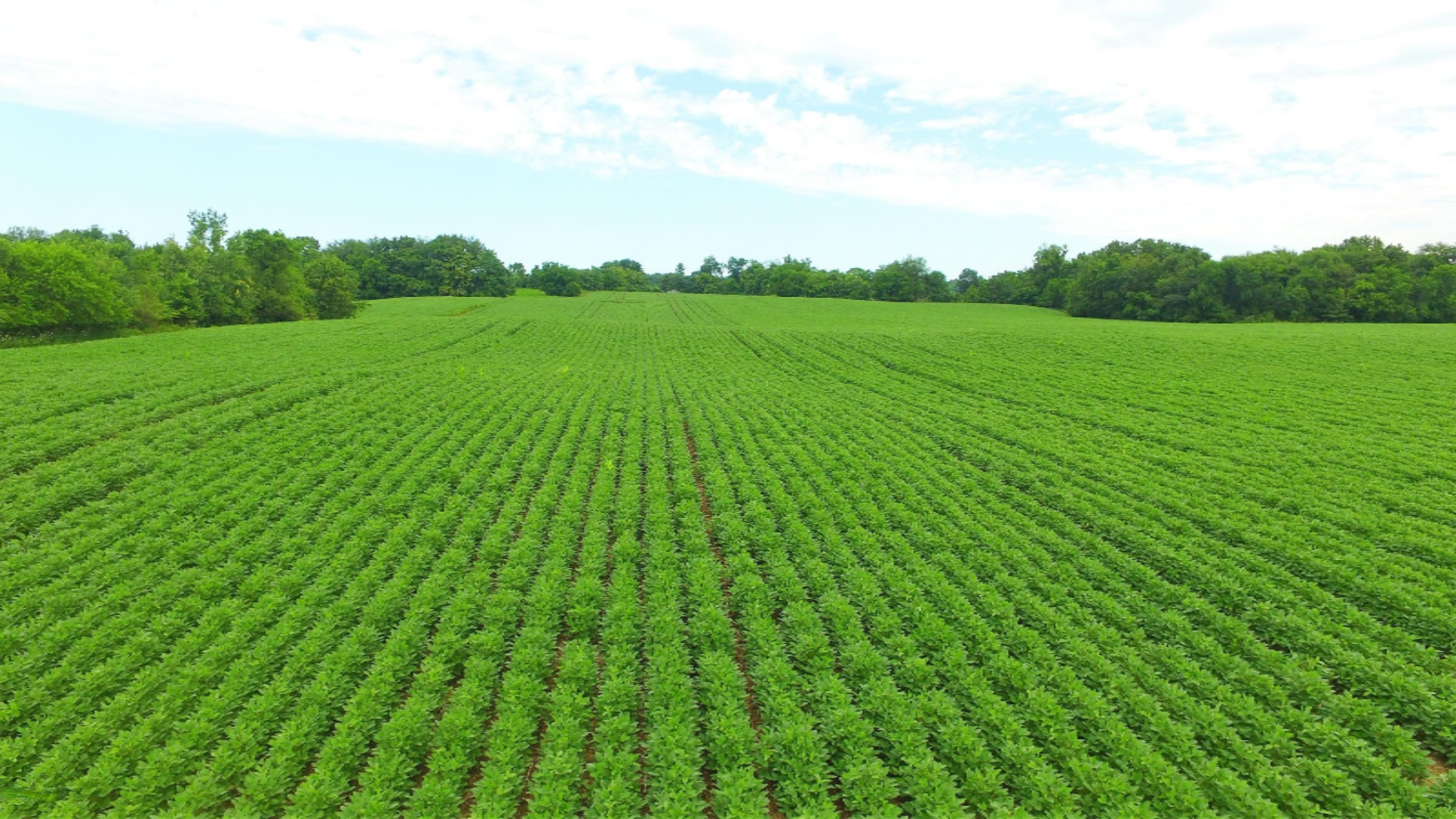 1 Curran Beach Road Dowagiac, MI 49047 - Photo 5 of 7 DJI_0016