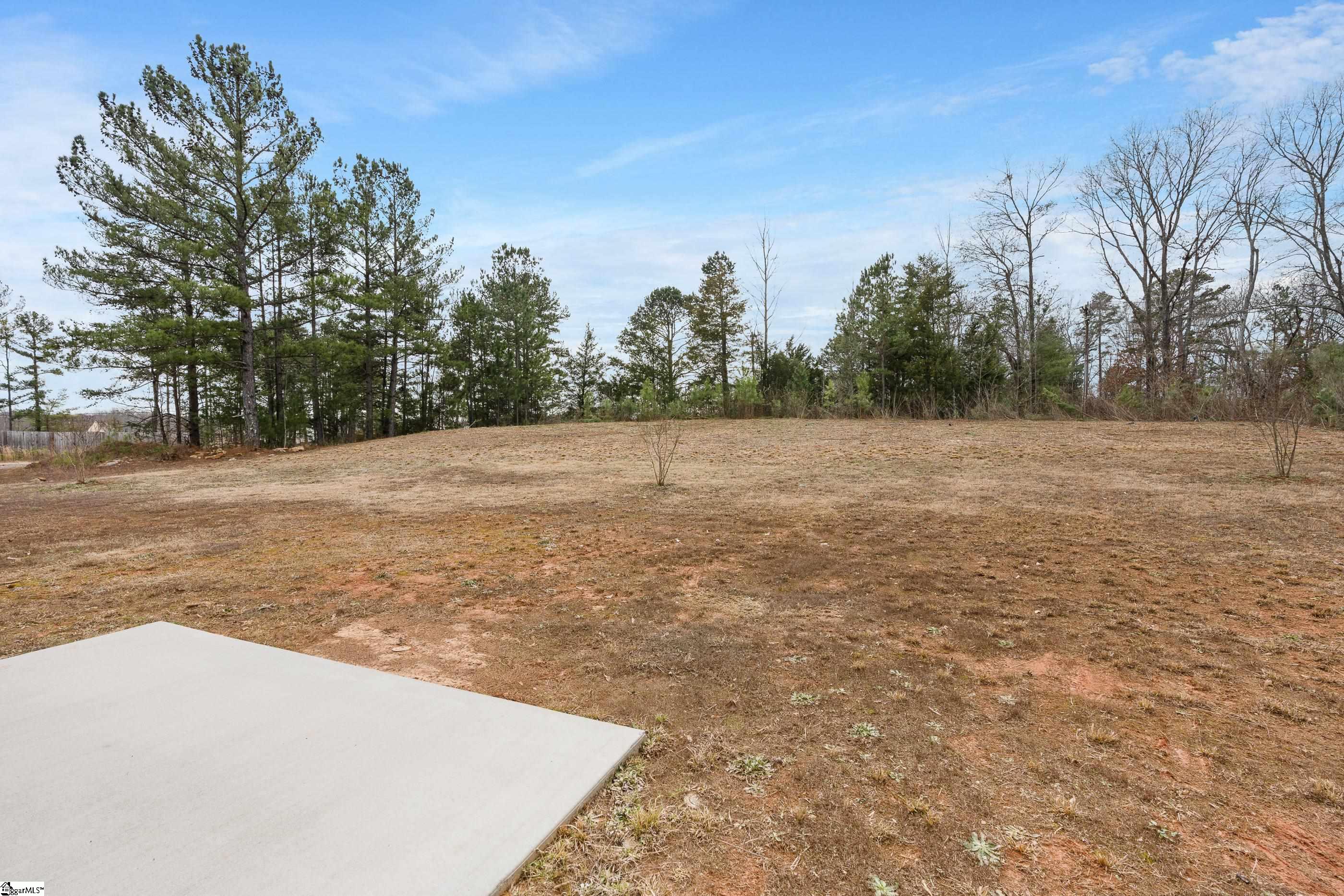 205 Talisker Way Greenville, SC 29607 - Photo 8 of 27 Gallery Image 8