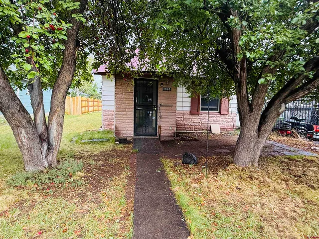 a small garden covered with tall trees