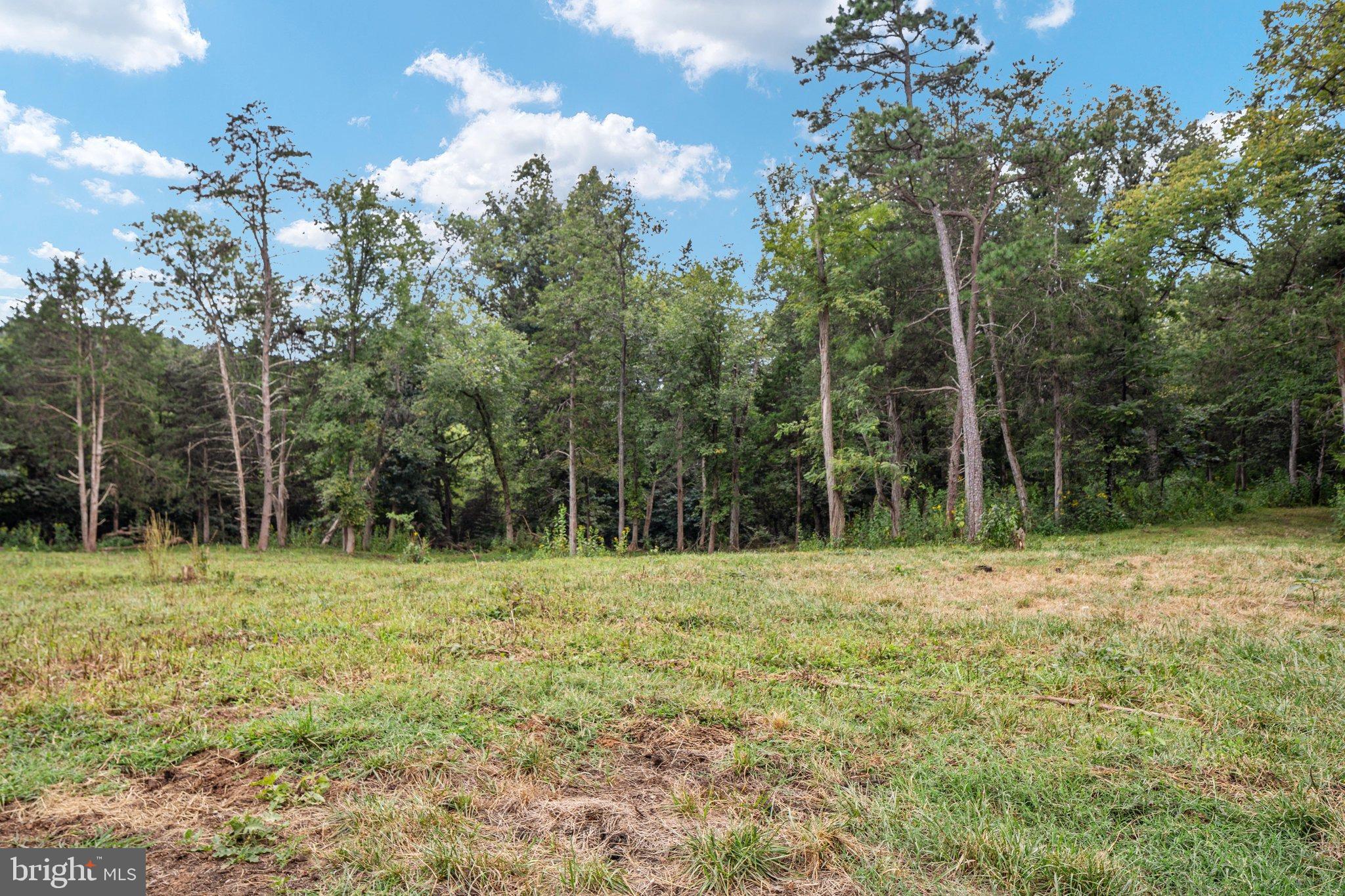 8849 Us Highway Rileyville, VA 22650 - Photo 108 of 110 2E7A9873_8849 US-340 - Absolute Altitude - 9 - 202