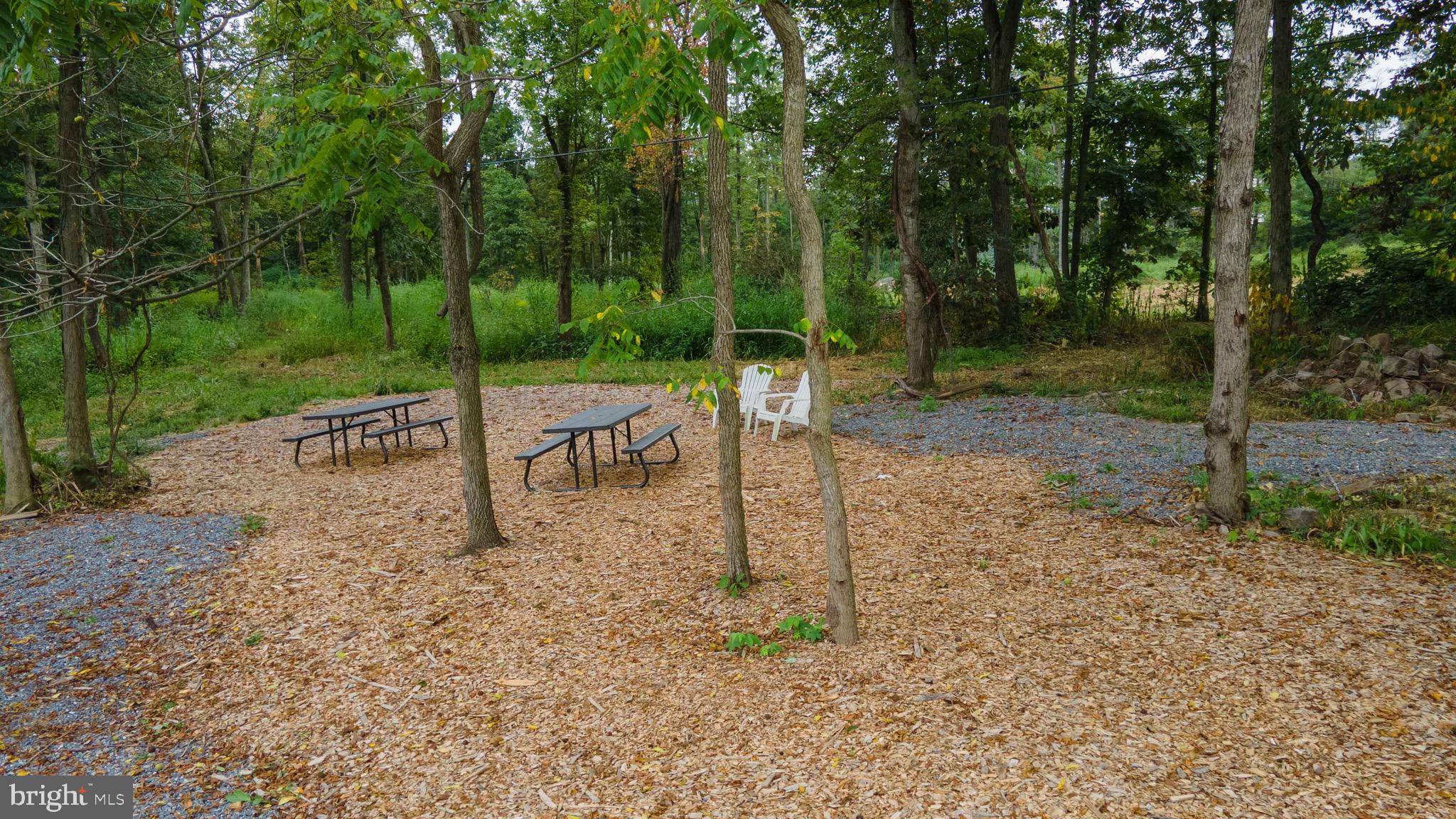 241 Madisonburg Pike Road Madisonburg, PA 16852 - Photo 6 of 26