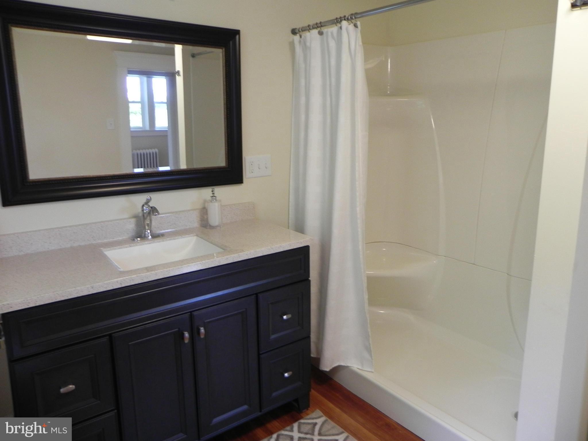 456 Waverly Road Clear Brook, VA 22624 - Photo 17 of 30 Bath (Master)
