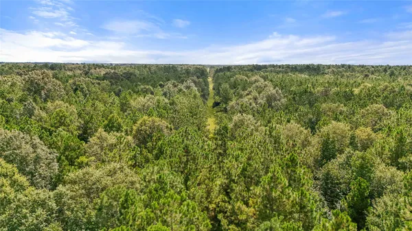 $16,000,000 | 1 Hwy 105 Sour Lake, Sour Lake, TX 77659