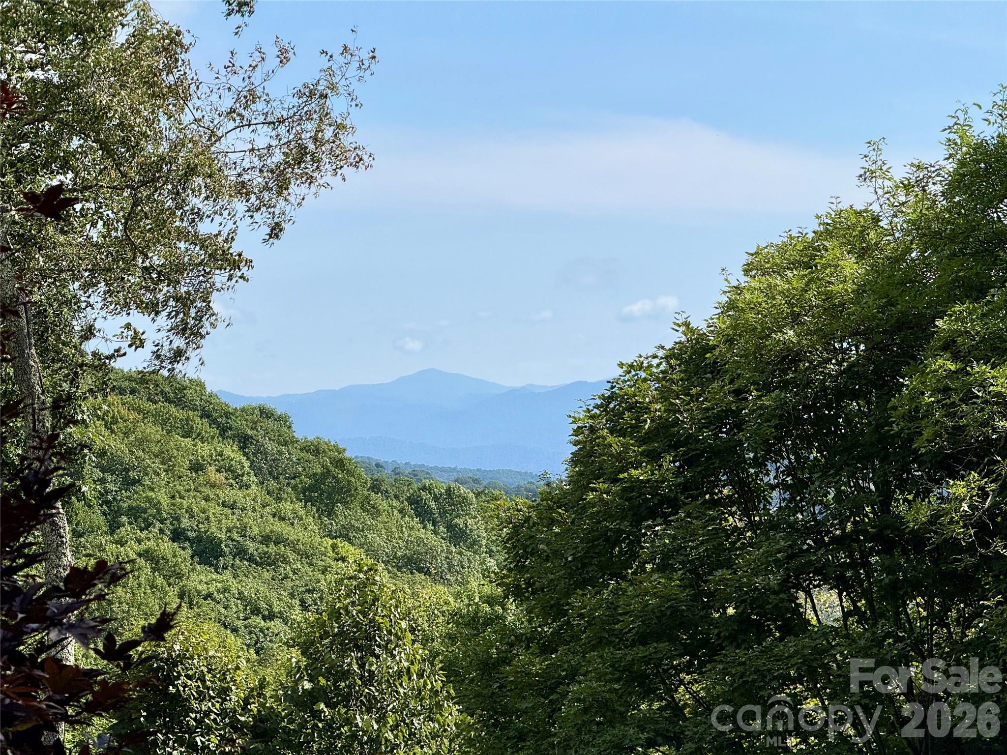 98 Goldenleaf Road Wake Forest, NC 27587 - Photo 2 of 39 Gallery Image 2