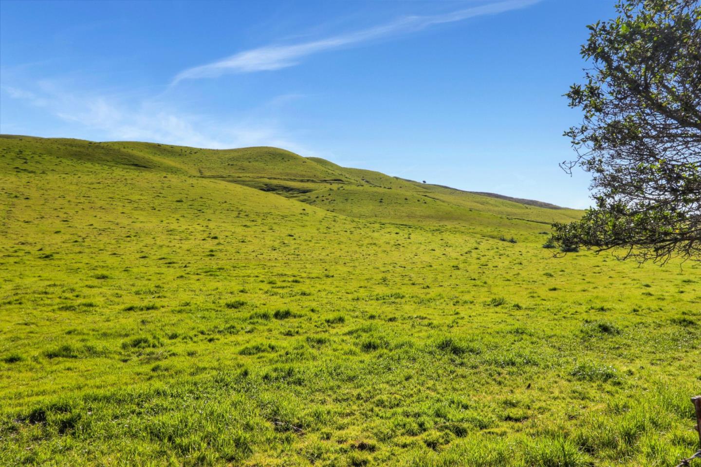 2250 Yosemite Drive Milpitas, CA 95035 - Photo 43 of 43 a view of ocean view