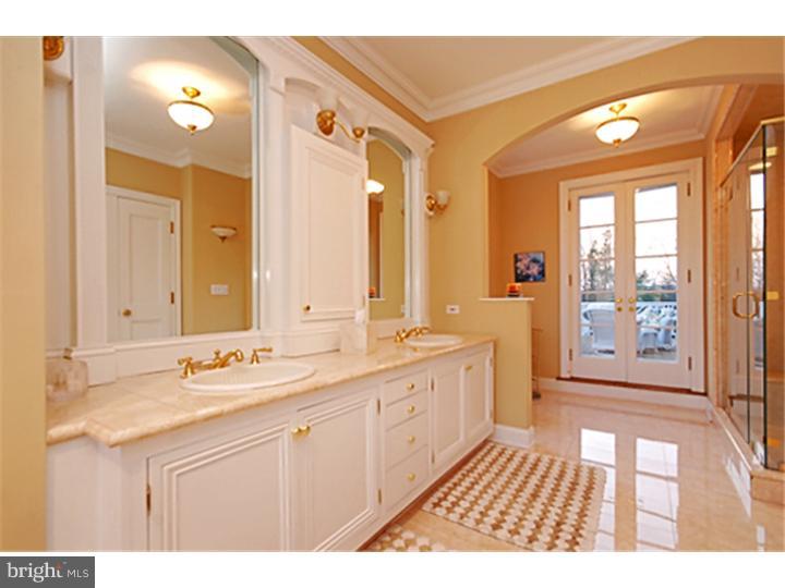 146 Province Line Road Skillman, NJ 08558 - Photo 17 of 25 Master Bathroom