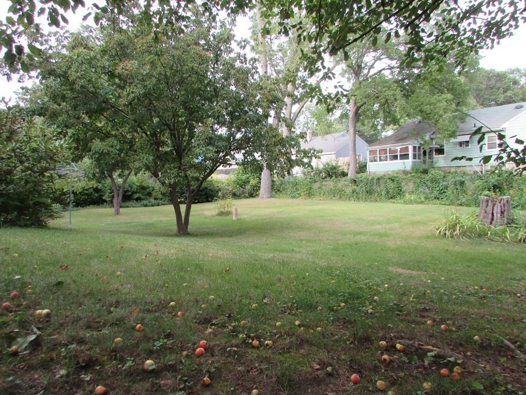 33 Irene Street Springfield, MA 01108 - Photo 33 of 35 a view of a trees in a yard with large trees
