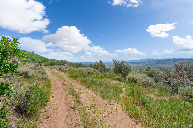 2459 Painter Road Marion, UT 84036 - Photo 13 of 42 Unpaved path winding through natural landscape with varied foliage and distant mountains under a blue sky with clouds