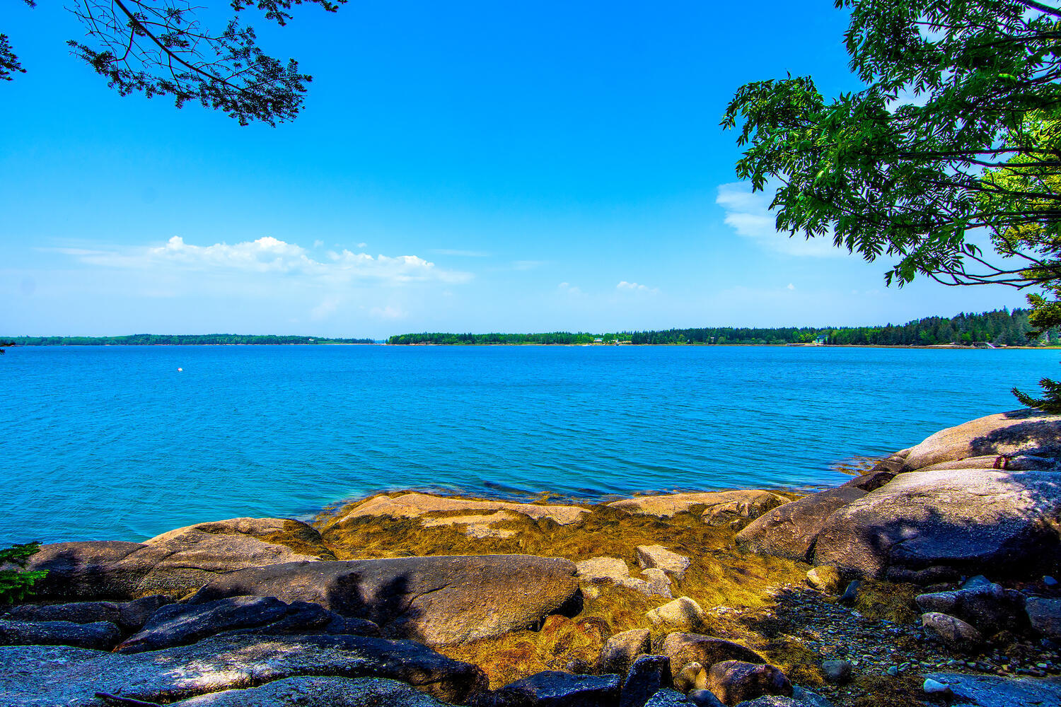 135 Eaton Point Road Deer Isle, ME 04627 - Photo 19 of 41 Waterfront