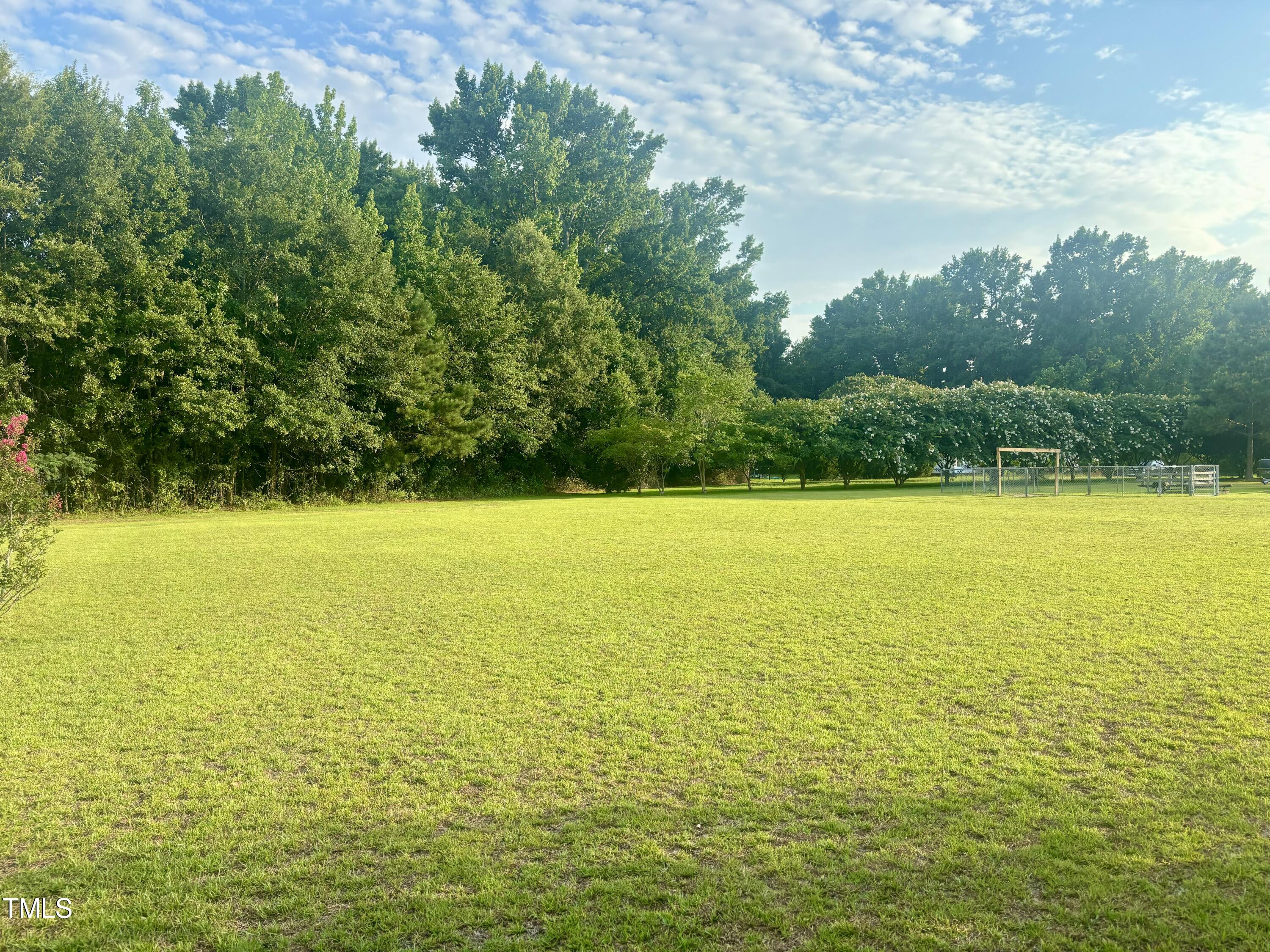 1492 Evans Road Princeton, NC 27569 - Photo 26 of 26 Large Backyard