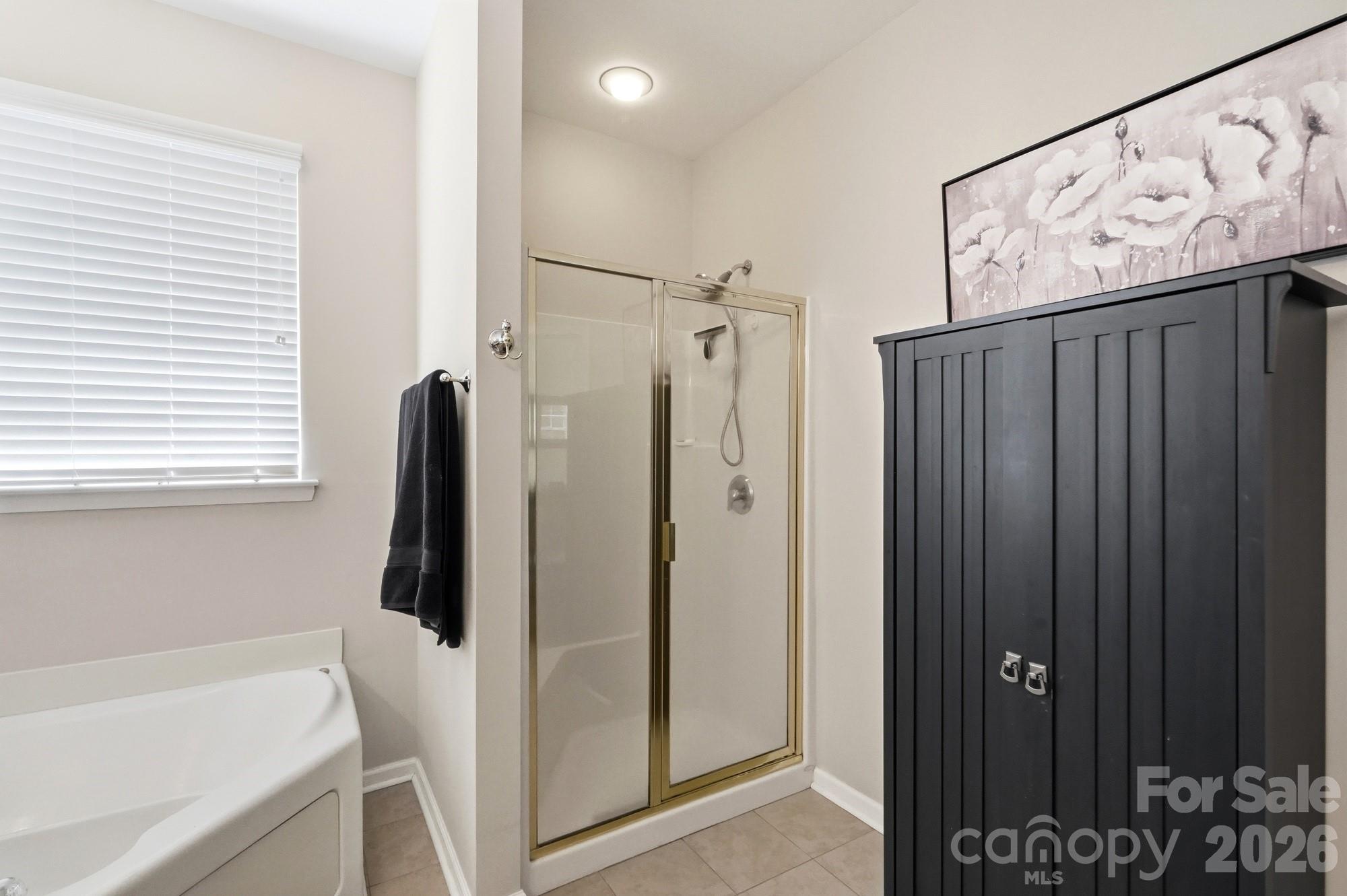 970 Platinum Drive Fort Mill, SC 29708 - Photo 38 of 46