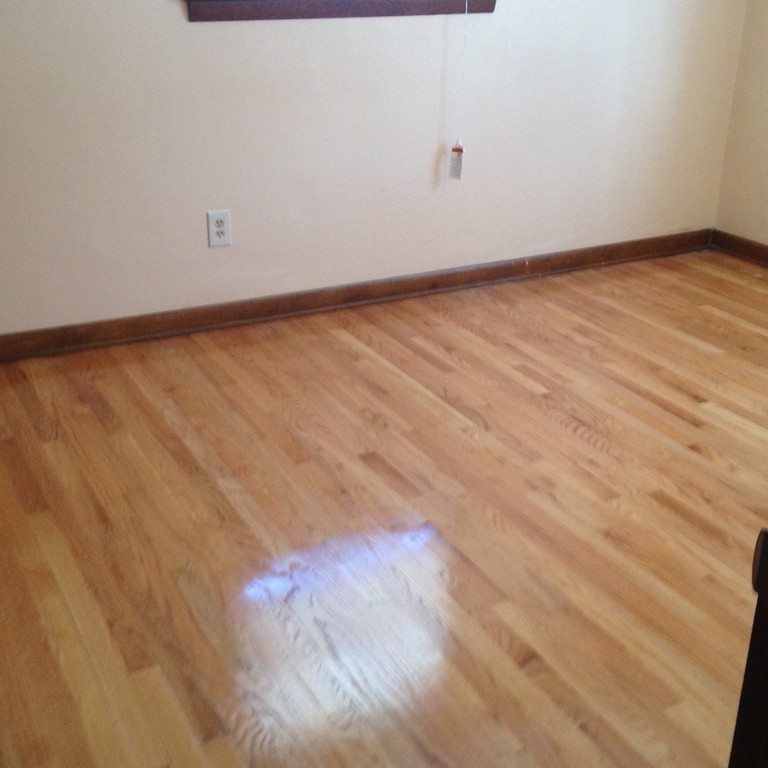 115 Butternut Street Springfield, MA 01128 - Photo 5 of 6