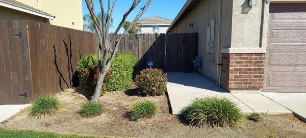 a view of a backyard