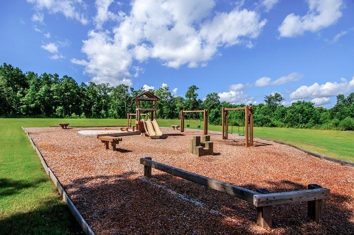 418 Eagleview Drive Moncks Corner, SC 29461 - Photo 49 of 51 Play park