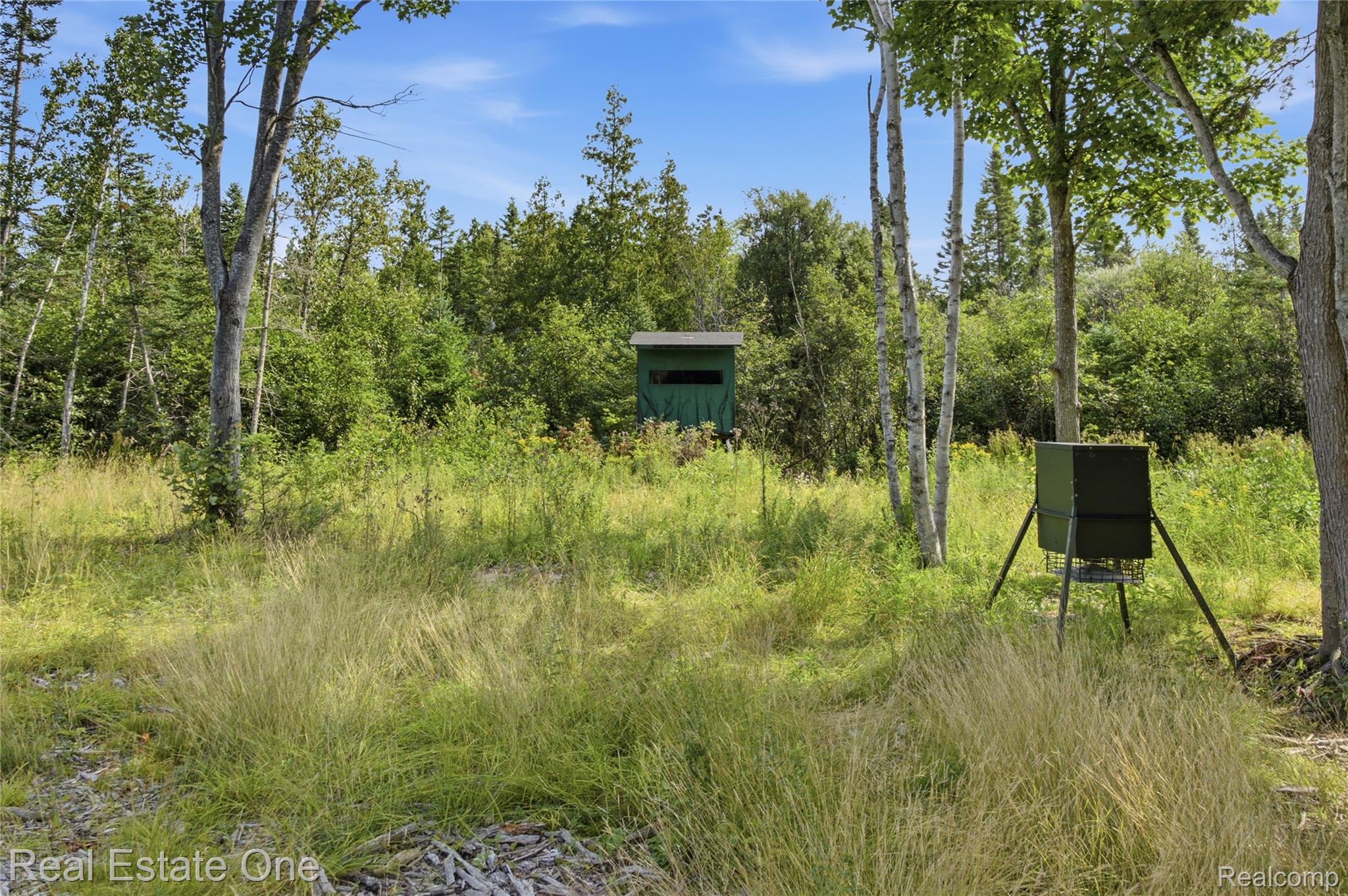 2643 North Gulliver Road Gulliver, MI 49840 - Photo 67 of 95 DSC07414.jpg