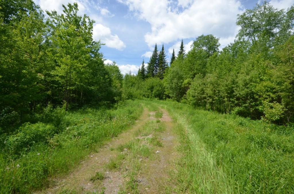 0 Moose Brook Road Houlton, ME 04730 - Photo 17 of 18 Maine Land for Sale in Ludlow Maine