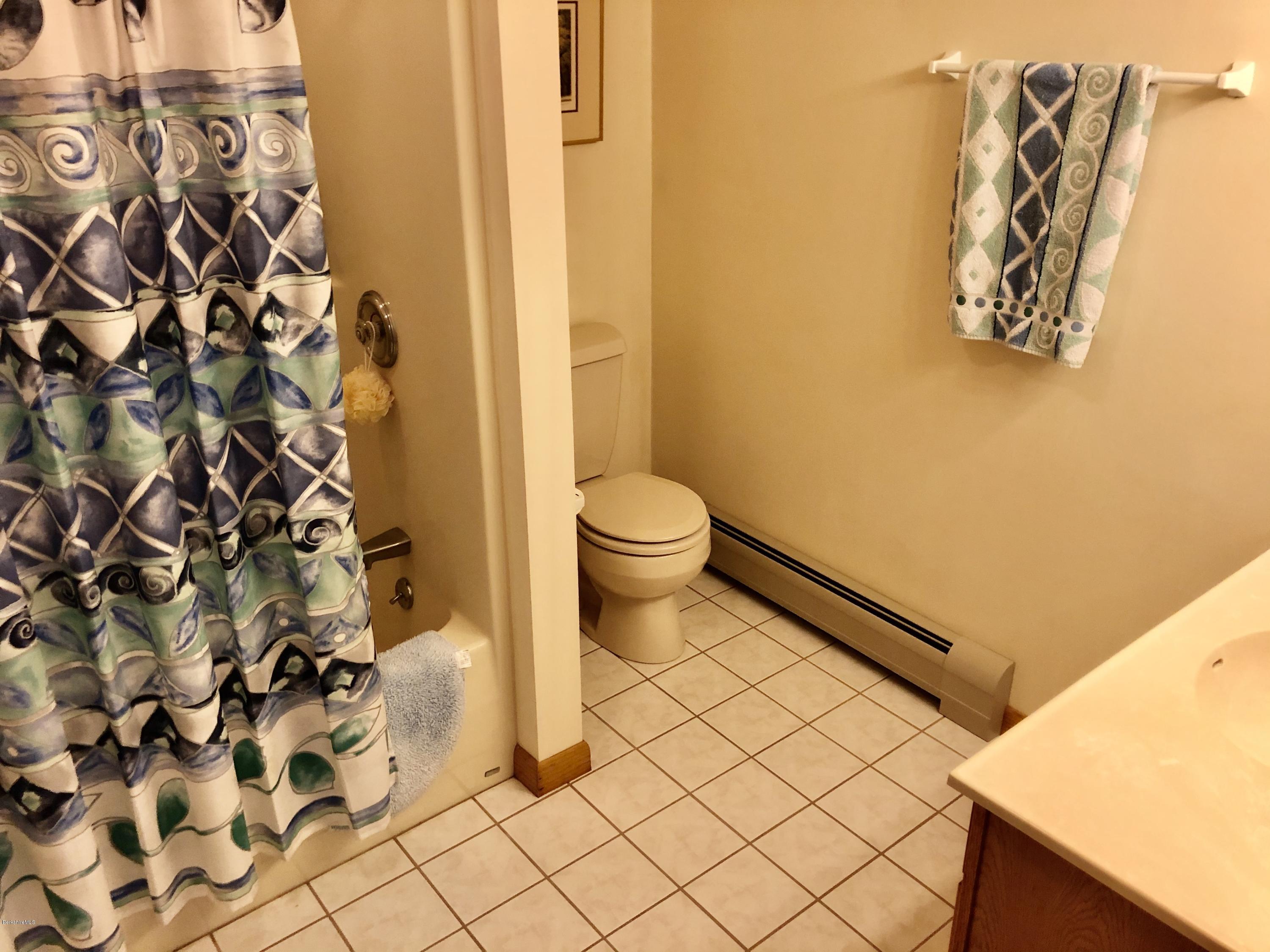 359 Harrington Road Otis, MA 01253 - Photo 36 of 60 a bathroom with a toilet and a shower curtain