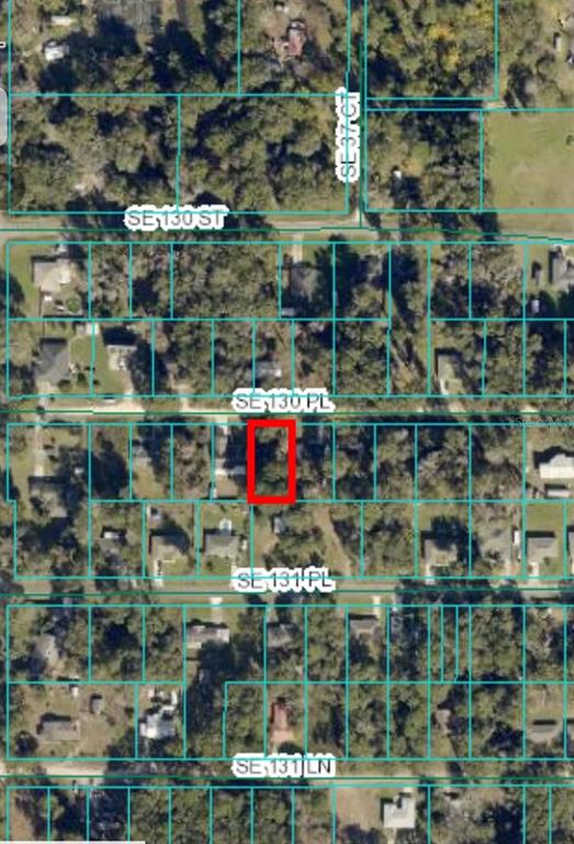 0 Southeast 130th Place Summerfield, FL 34491 - Photo 1 of 1