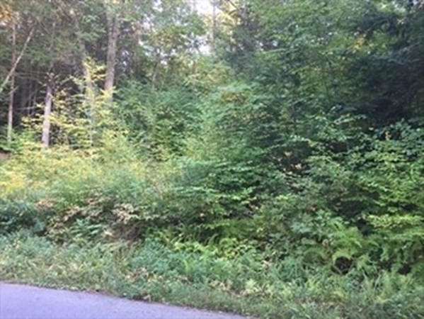 0 Wire Village Road Spencer, MA 01562 - Photo 1 of 16 Gallery Image 1