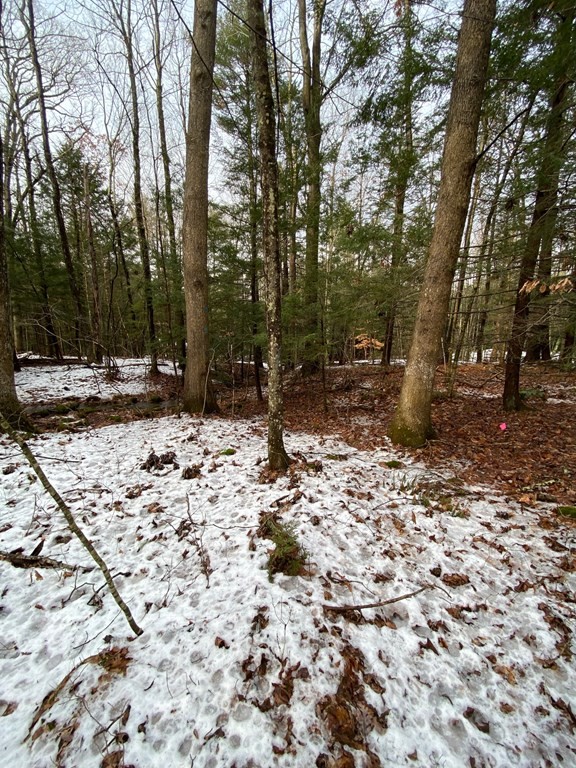 0 Wire Village Road Spencer, MA 01562 - Photo 13 of 16 Gallery Image 13